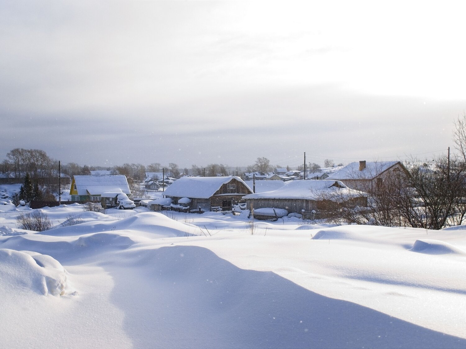 Photo #13775702