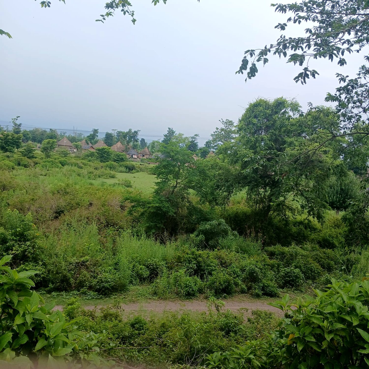 Green village life