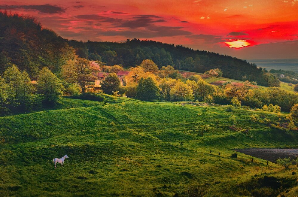 Photograph by Владимир