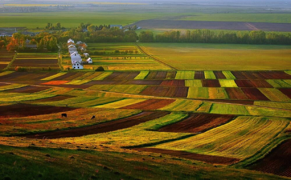 Photograph by Владимир