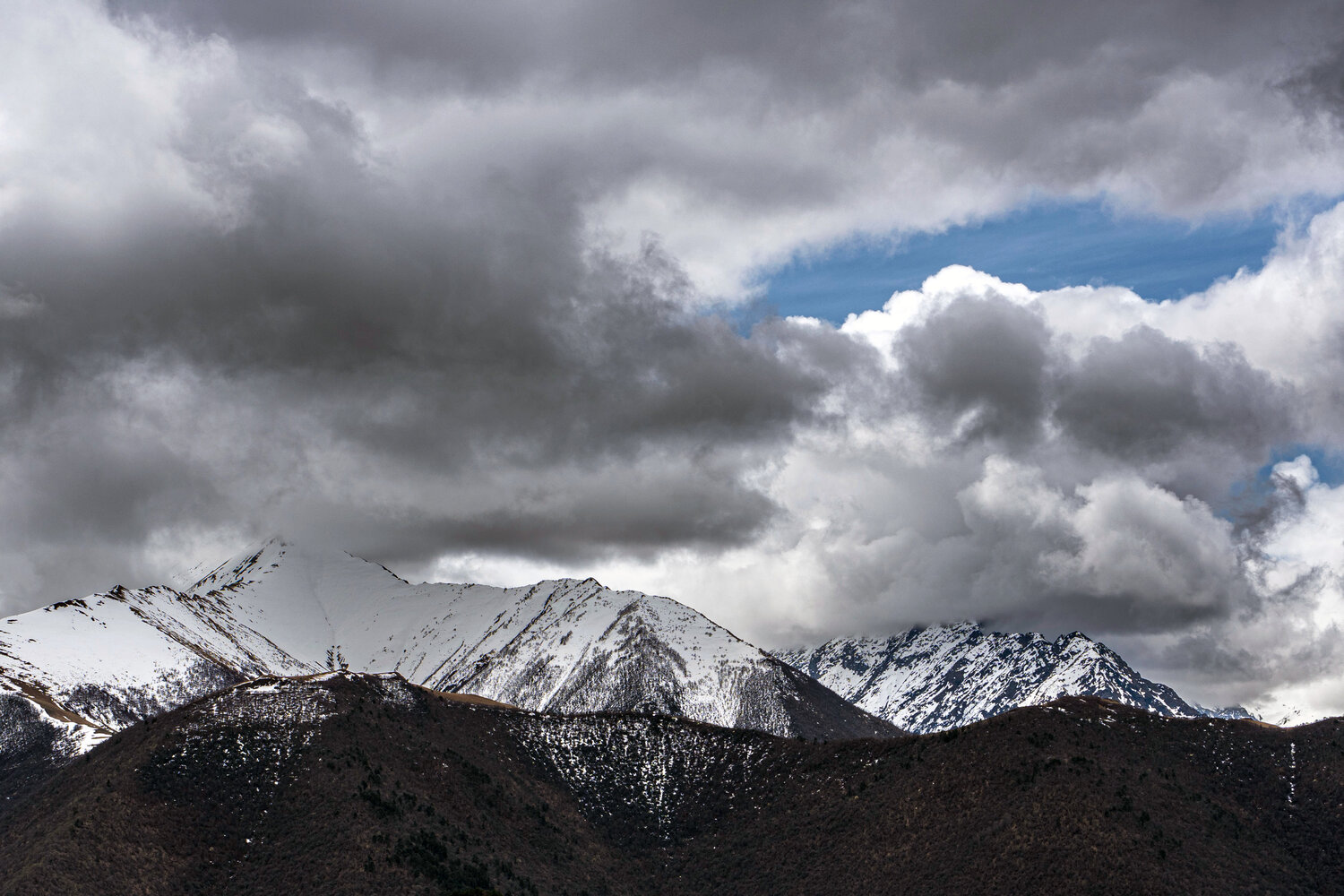 Photo #13775783