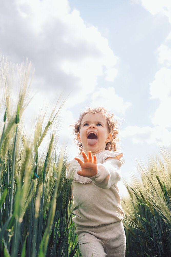 In the fields