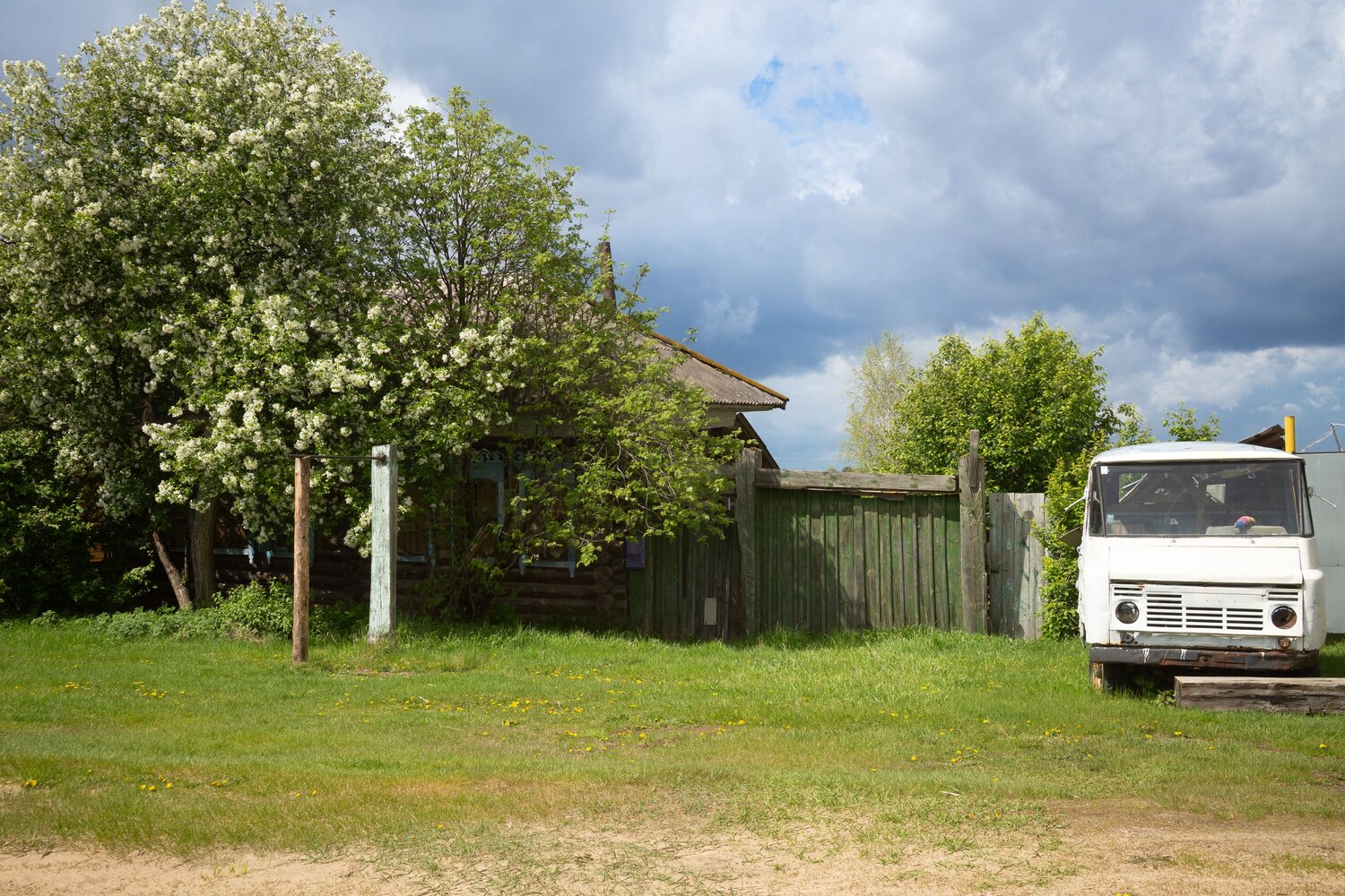 Photo #13775816