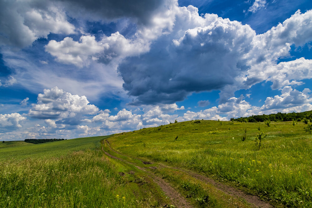 Photograph by Подосинников Максим