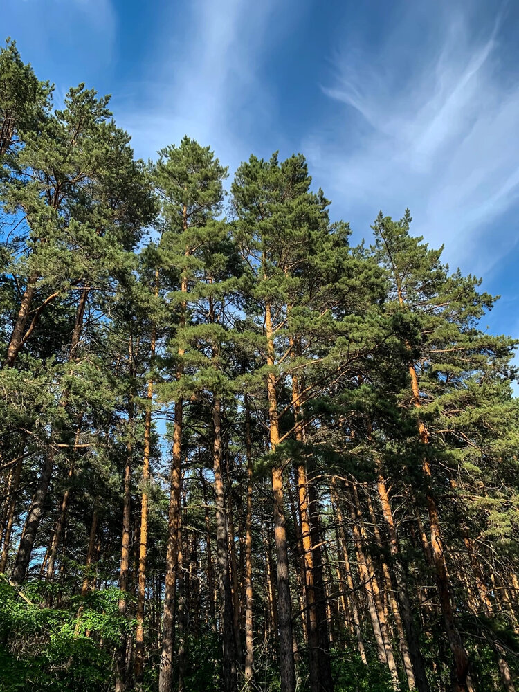 Фотография автора Полина Кузнецова