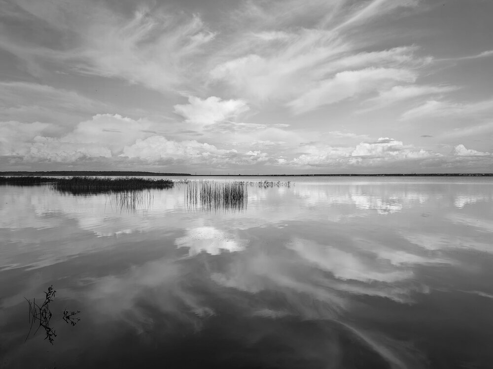 Photograph by Татьяна Мишустина