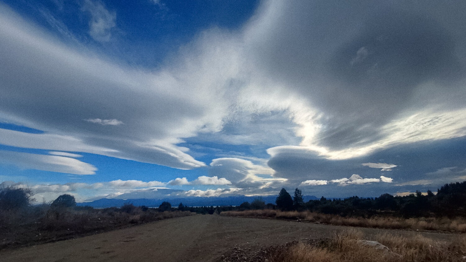 Photo #13775991