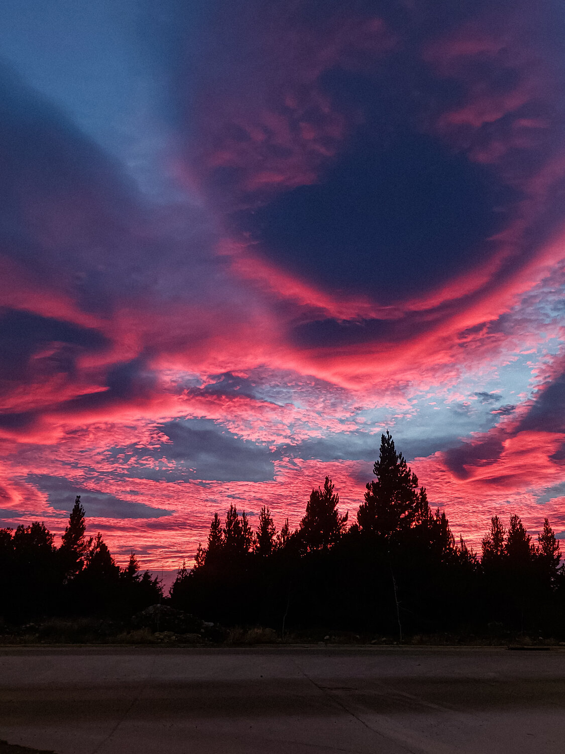 Photo #13776029