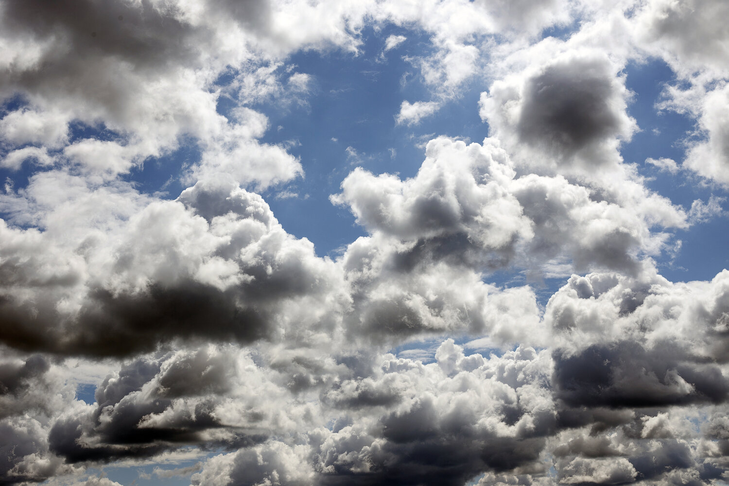 Photo #13776066