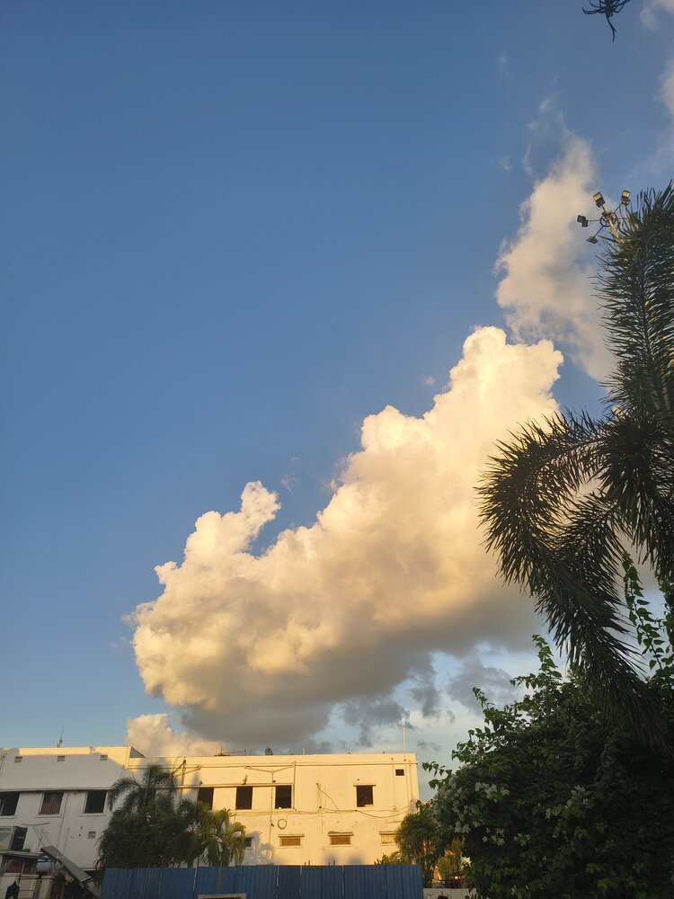Photograph by PURBALI KAR