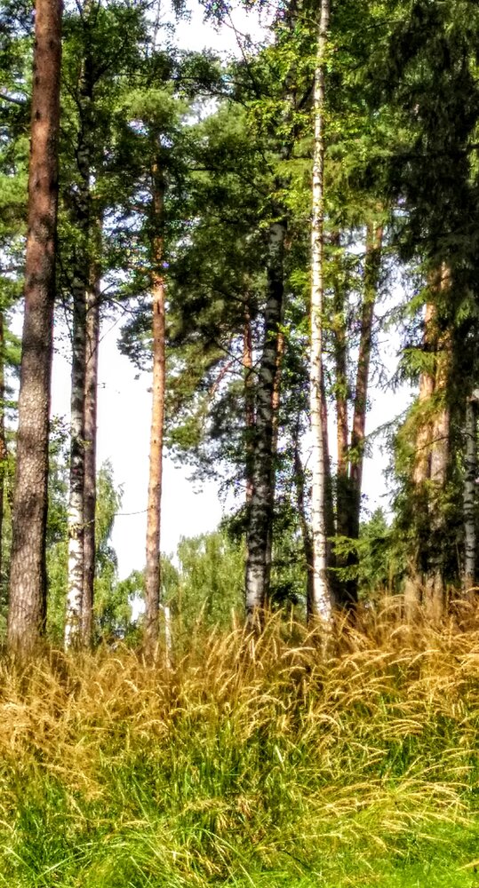 Photograph by Елена Эйнова