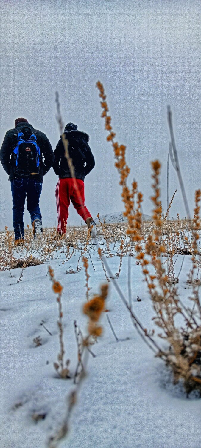 Photo #13776191