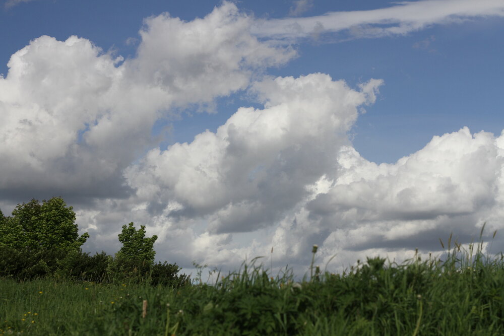 Photograph by Елена Наумова