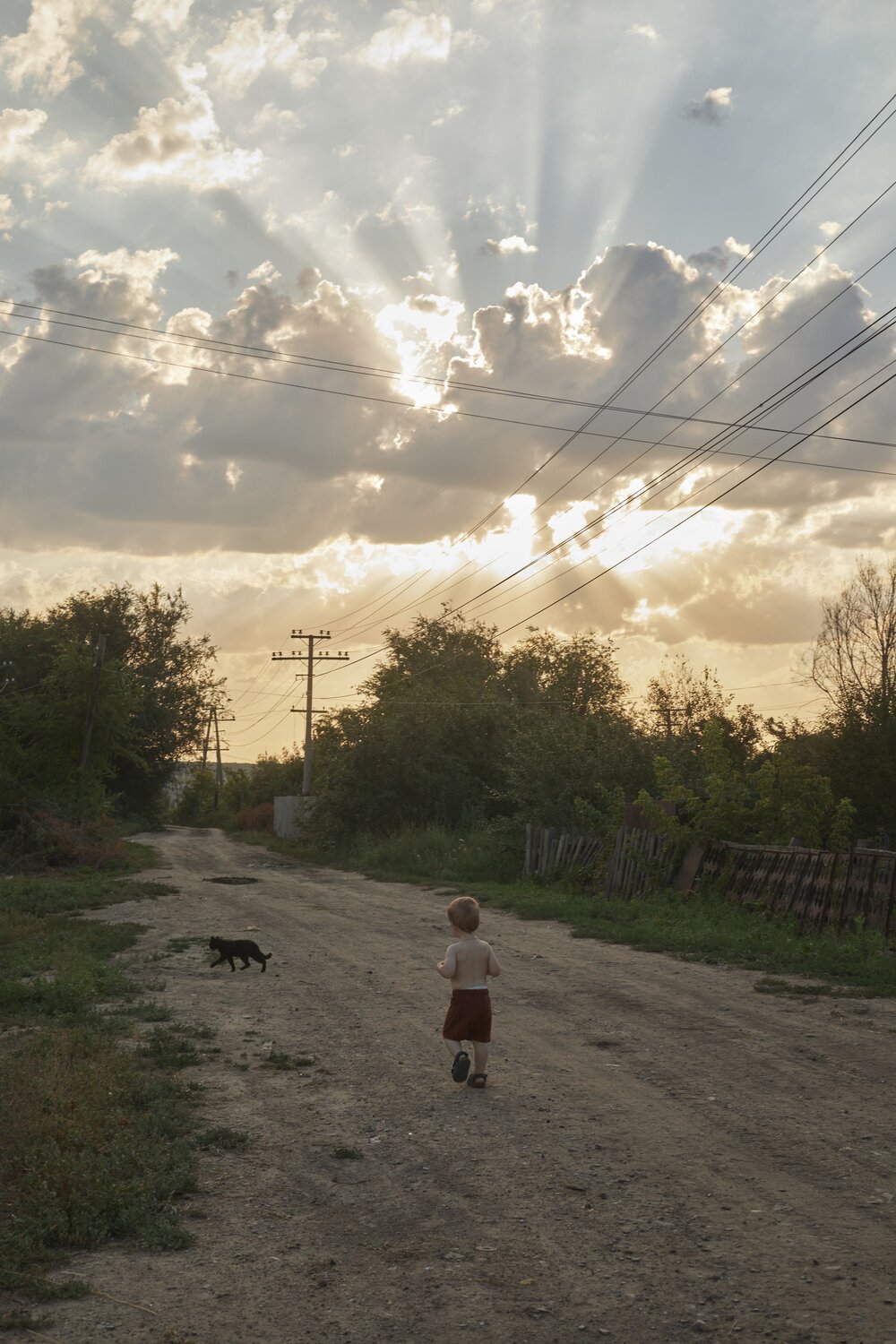 Photo #13776206