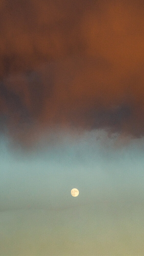 Photograph by Евгений Конов