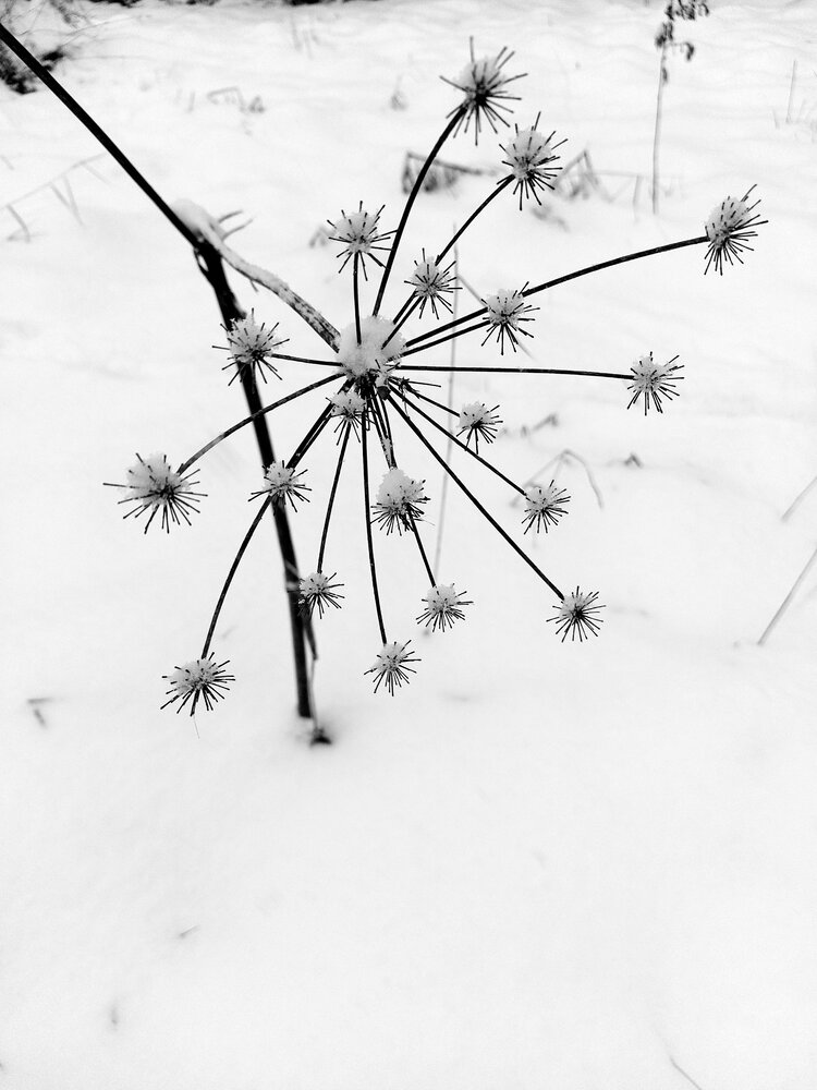 Photograph by Павел Алексеев