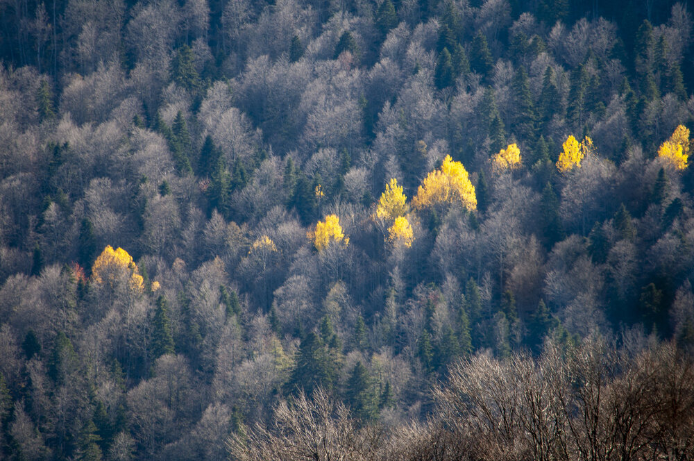 Photo #13776278