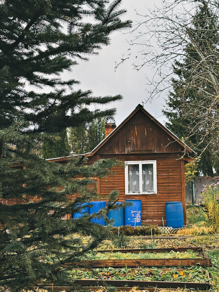 Photograph by Елена Чулюнина