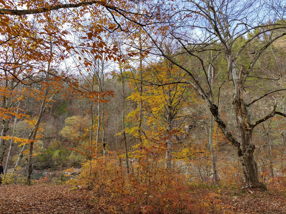 Photograph by Татьяна Петренко