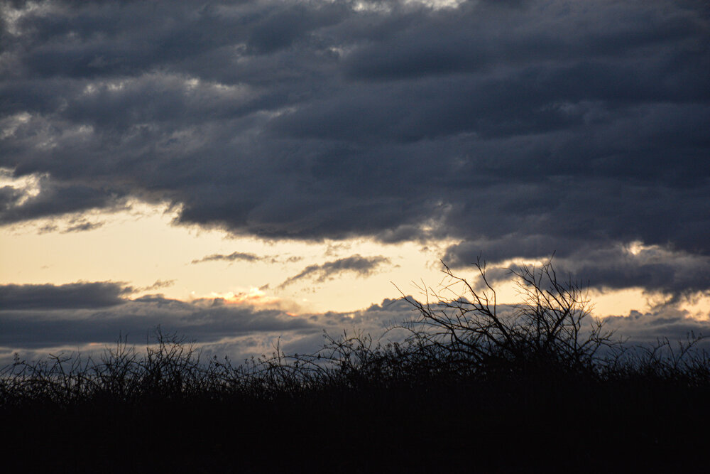 Photograph by Пиюкова Галина