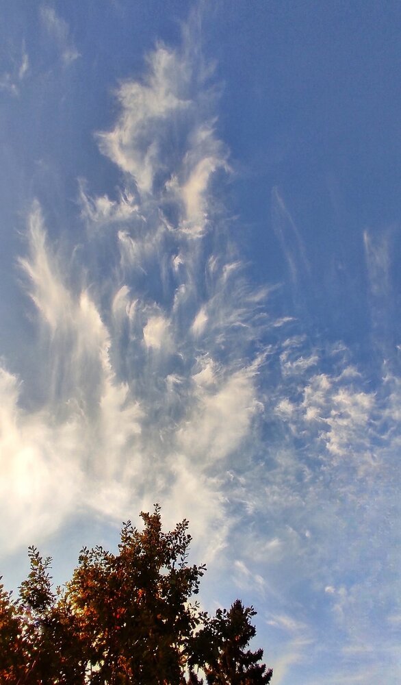 Photograph by Наталья Колмакова