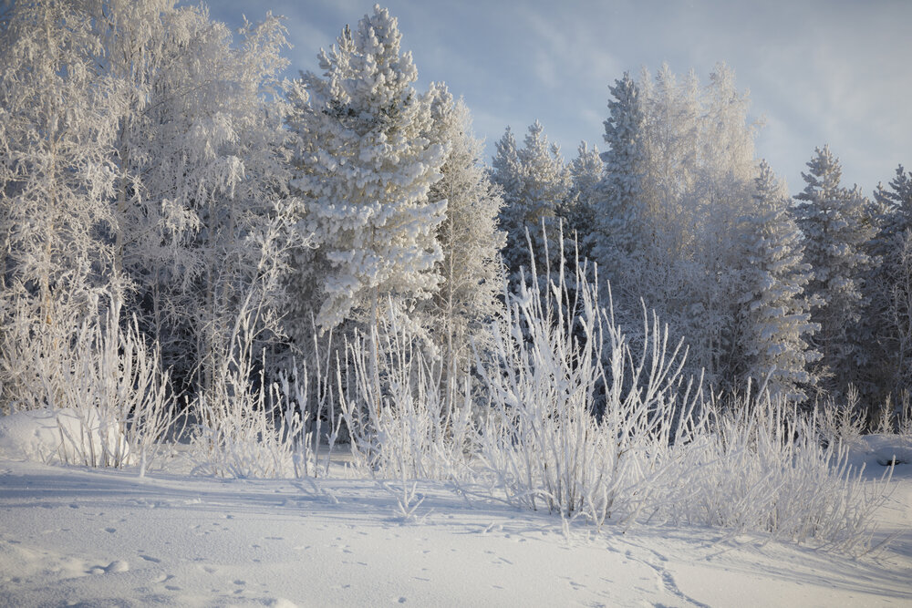 Photo #13776426