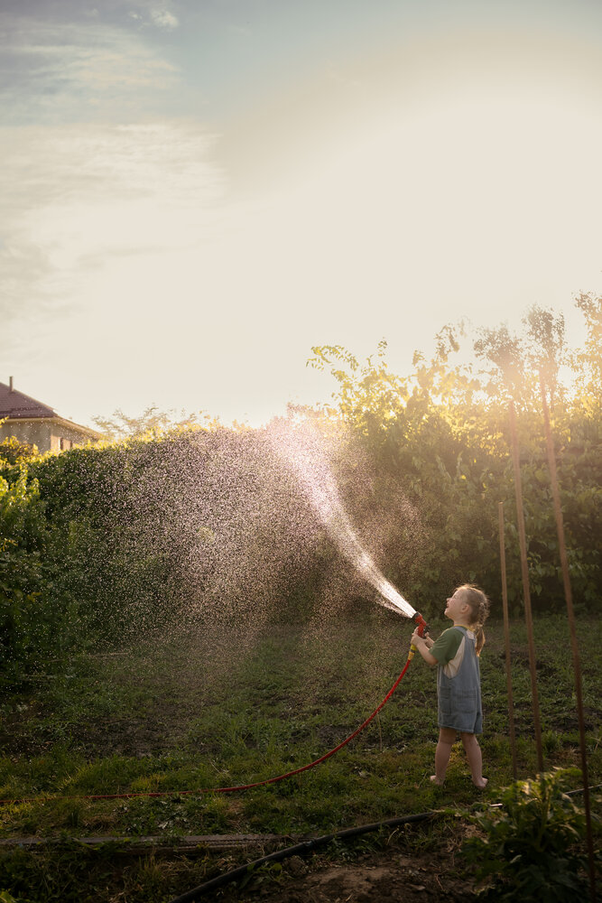 Photo #13776428