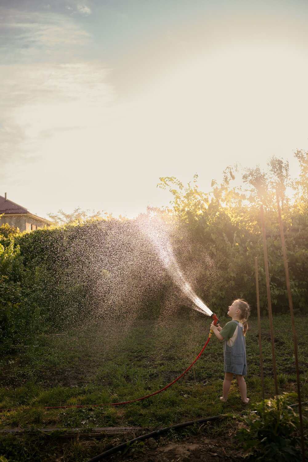 Photo #13776428