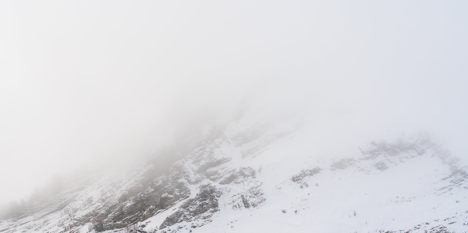 Photo #13776442