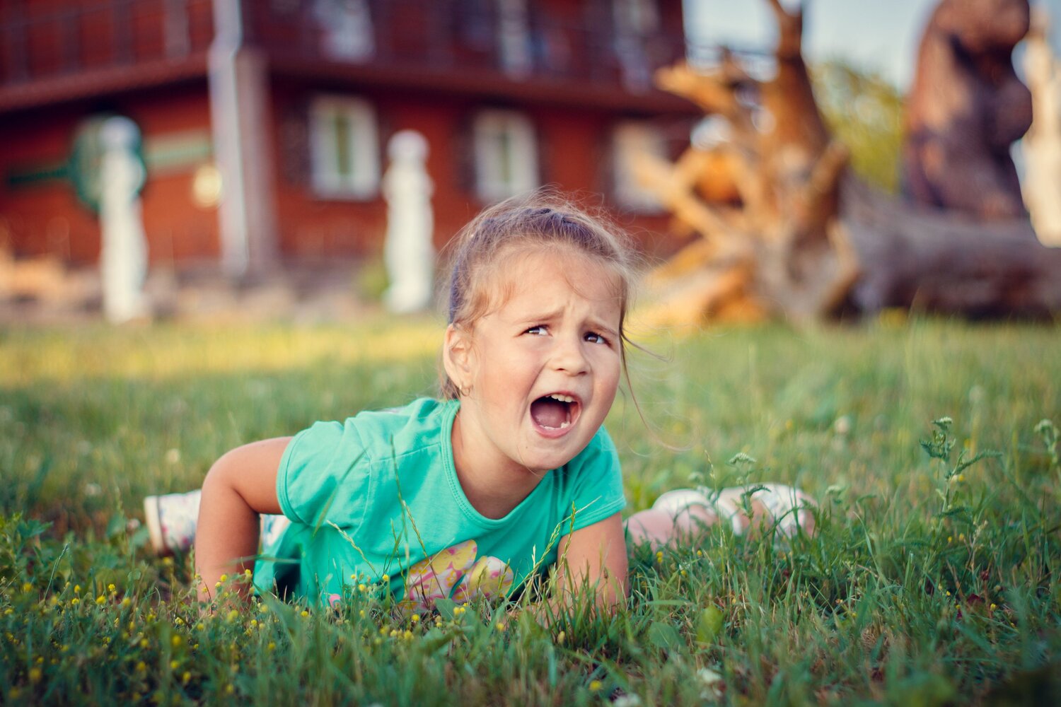 Photo #13776470