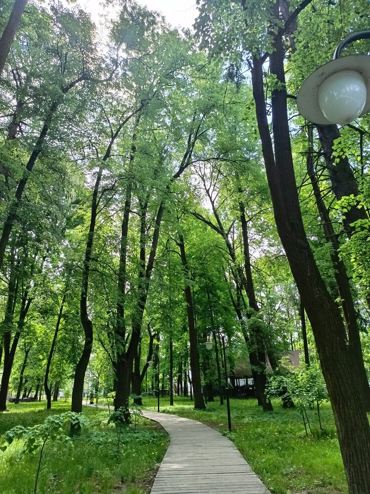 Photo #13776473