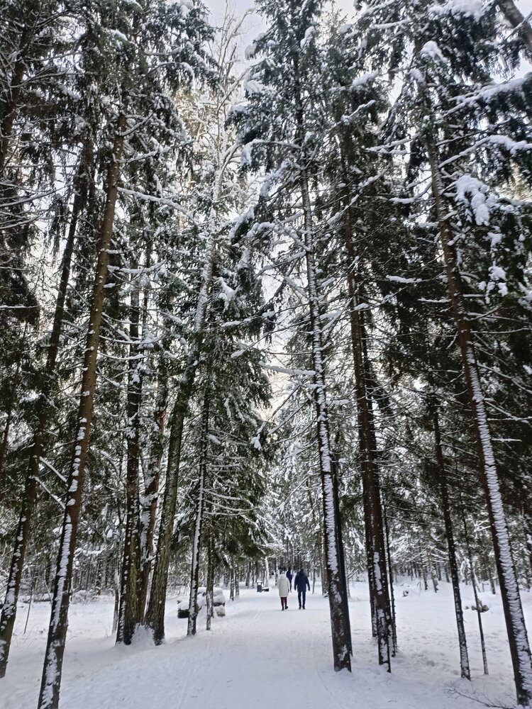 Photo #13776474