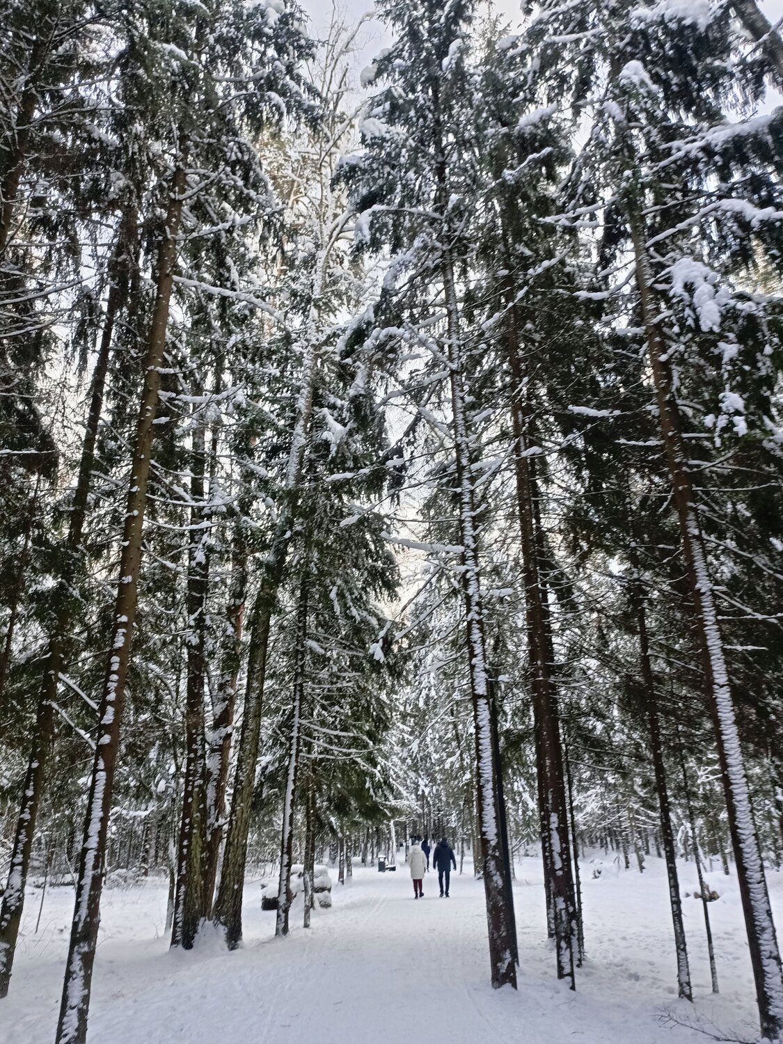 Photo #13776474