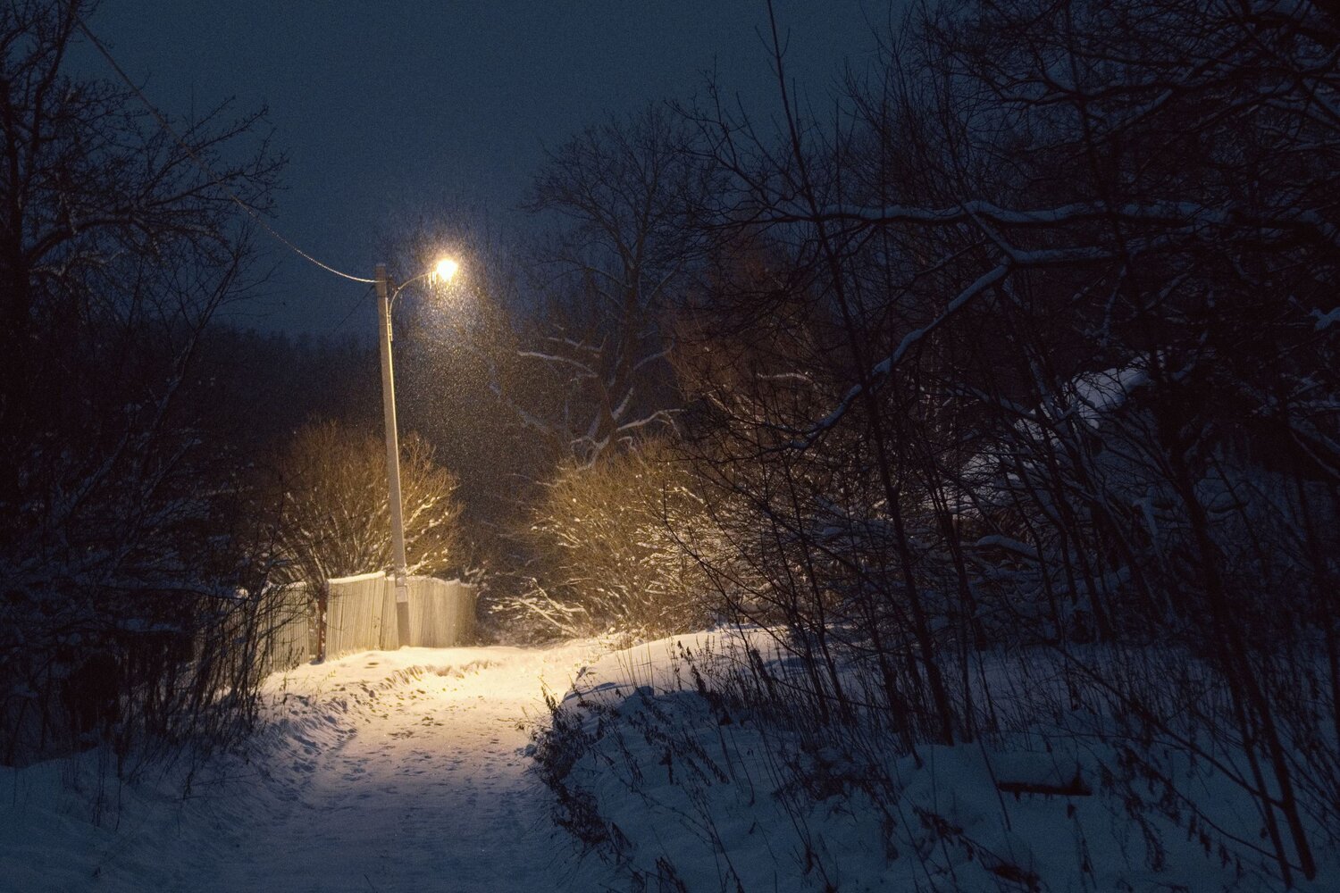 Photo #13776589