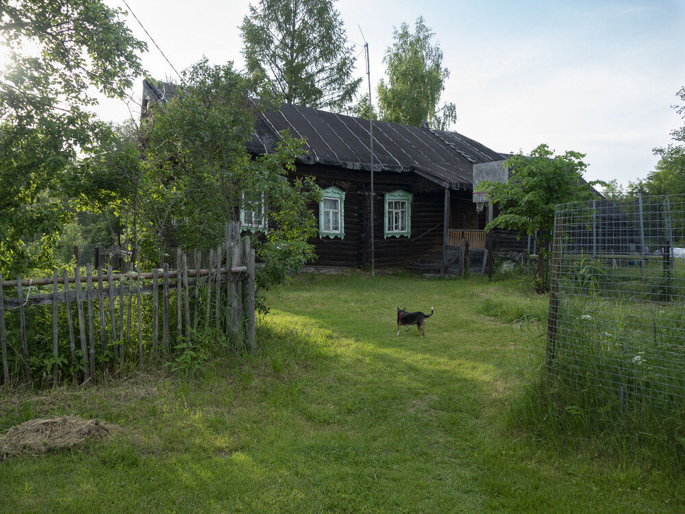 Photo #13776612