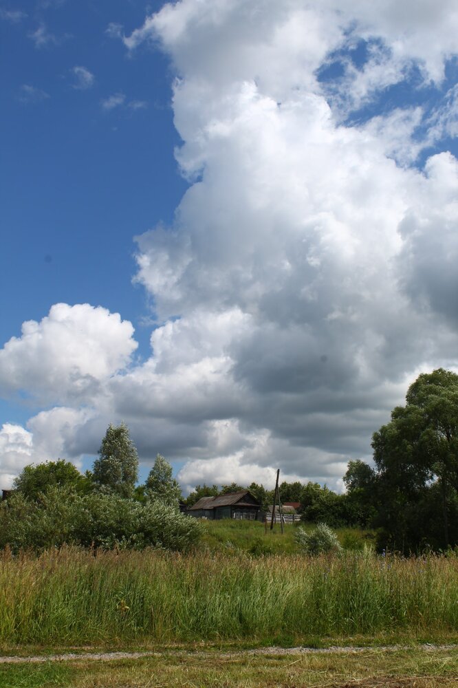 Photograph by Ольга Решетникова