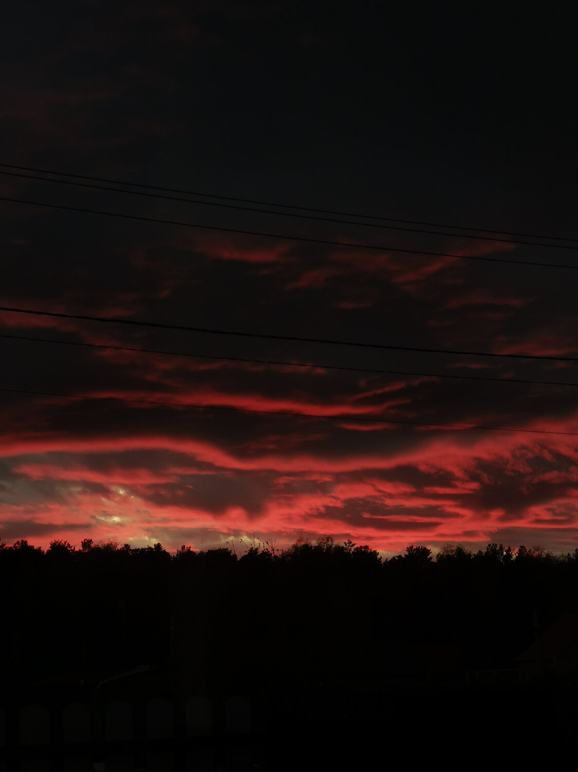 Photo #13776701