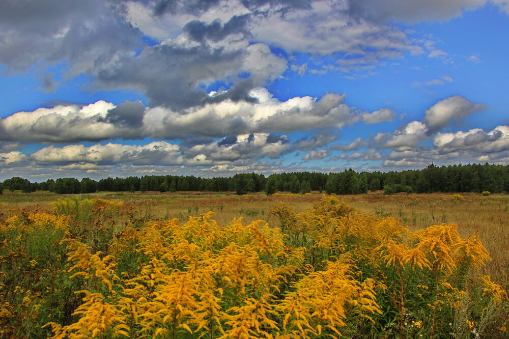 Photograph by Анатолий Борисов
