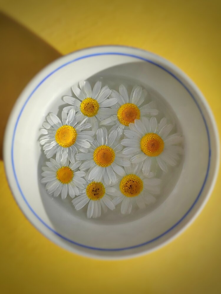 Photograph by Наталья Зверева