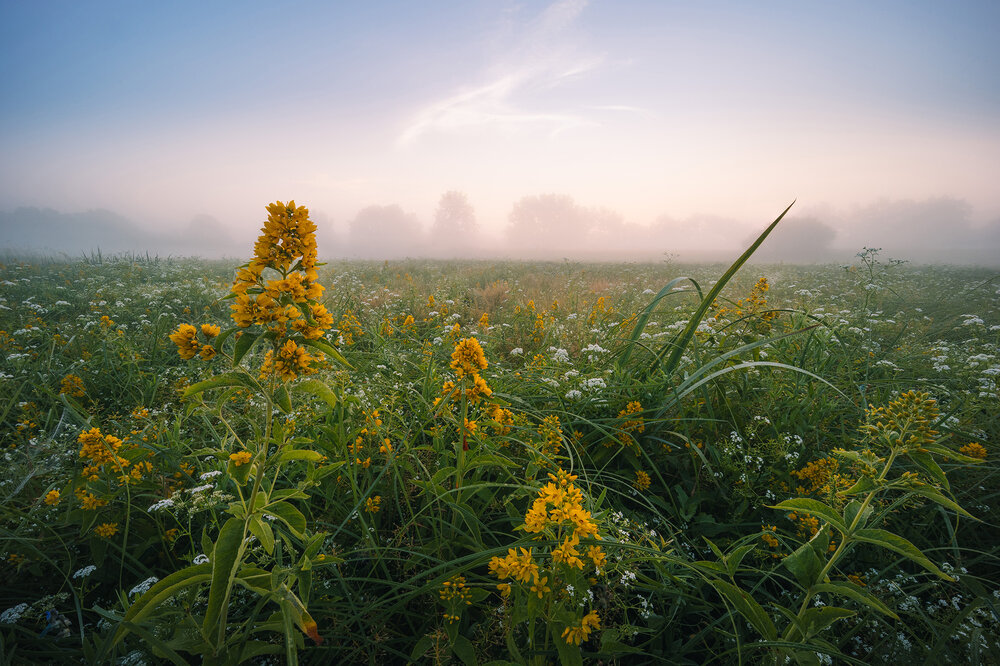 Photograph by Баранов Владимир