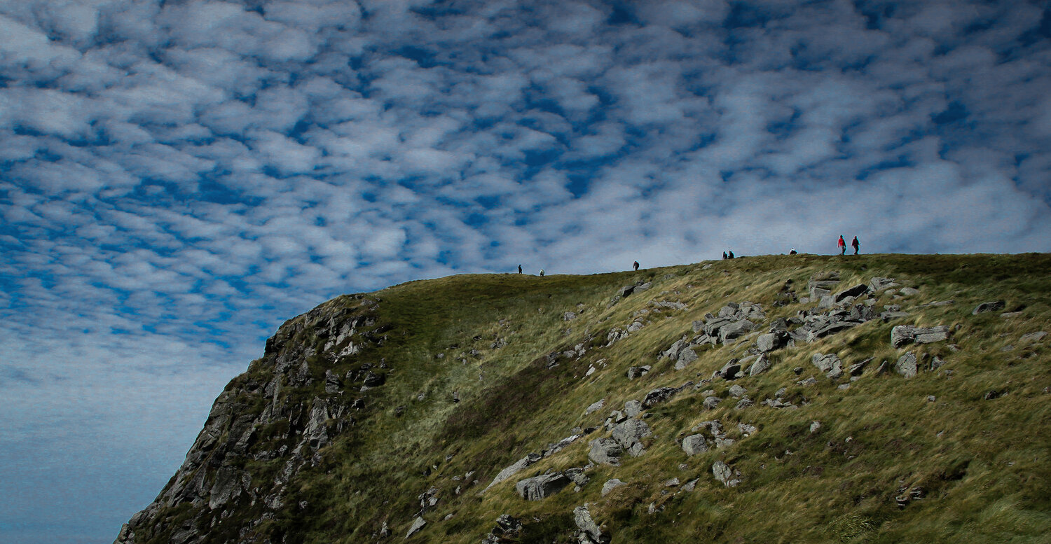 Photo #13776792