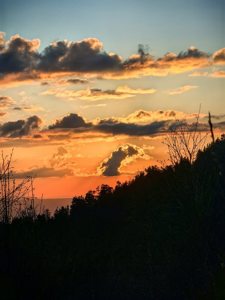Photograph by Юлия Горелова