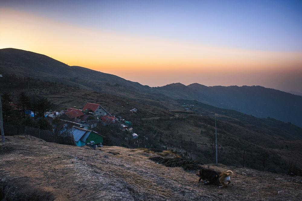 Photograph by Saikat Singha