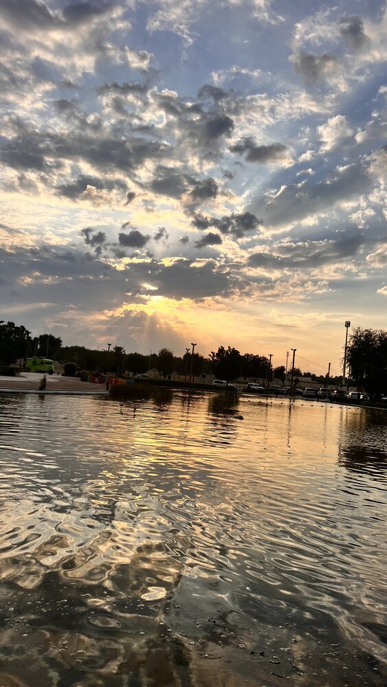 Photograph by Sarrah Yehia