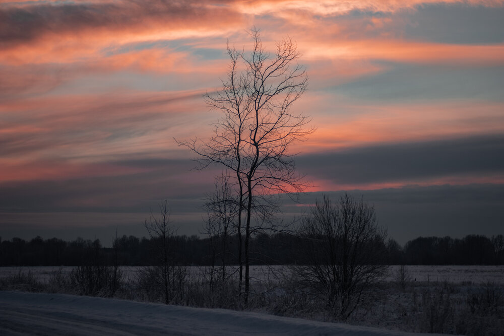 Photograph by Марина Гаврилова
