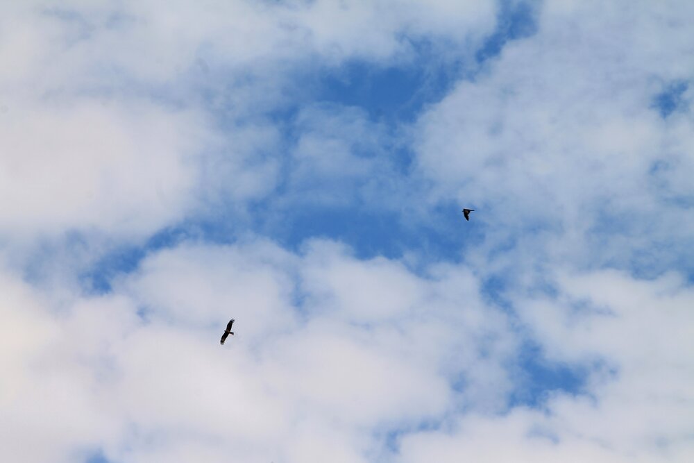 Photograph by Виктория Хмара