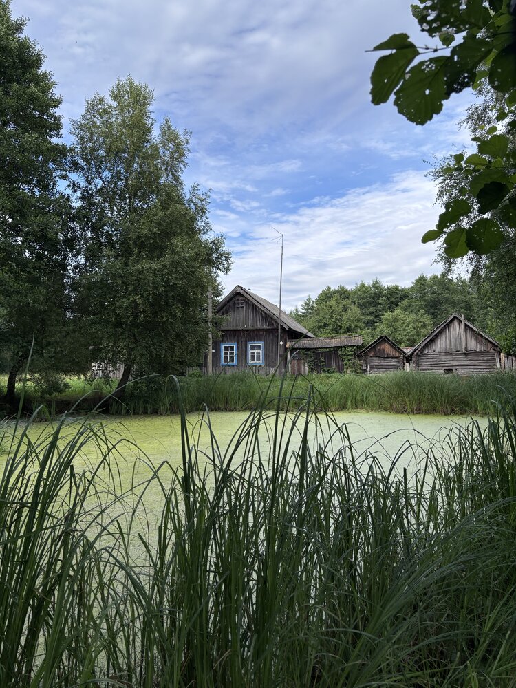 Photograph by Halina Mitsevich
