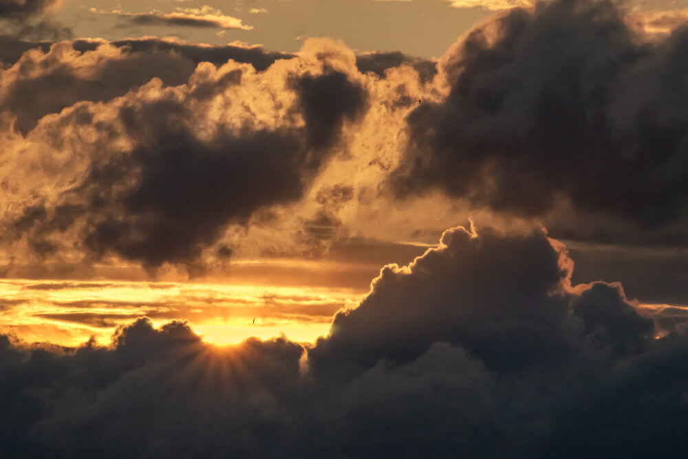 Photograph by Юлия Куликова