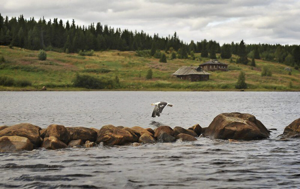 Photograph by Пирог Борис