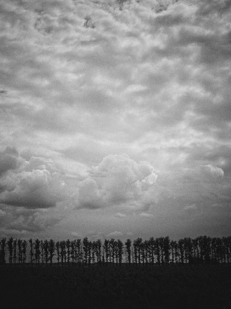 Photograph by Анна Столбова